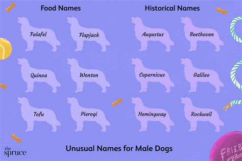 60 Unusual Male Dog Names