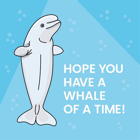 Beluga Whale Birthday Card Design On Behance Whale Birthday