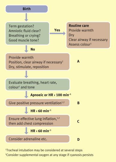 Resuscitation Of The Newborn Obstetrics Gynaecology And Reproductive