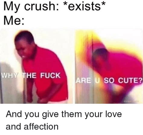 23 Cute Memes For Your Crush Factory Memes