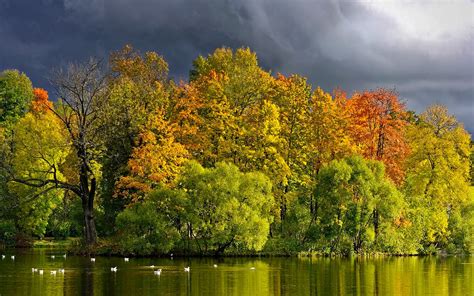 view, Lake, Grass, Leaves, Autumn, Splendor, Beautiful, Water, Trees 
