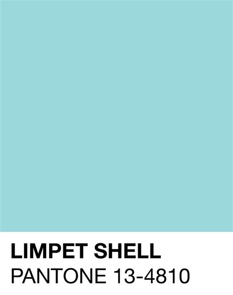Limpet Shell Pantone 13 4810 Springsummer 2016 Pantone Color Limpet