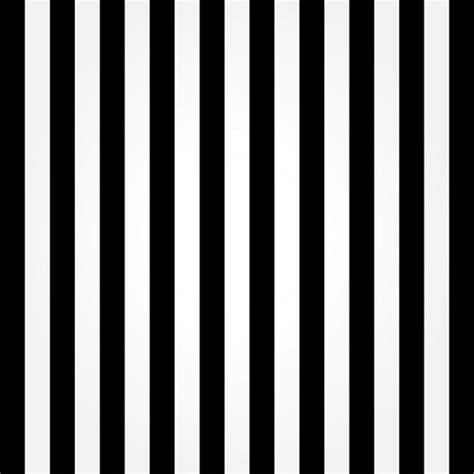 Black And White Striped Wallpaperwallpaper Y Driverlayer Search Engine