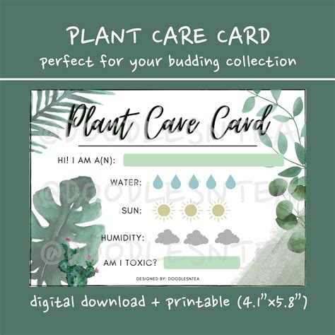 Plant Care Cards Template Printable Templates
