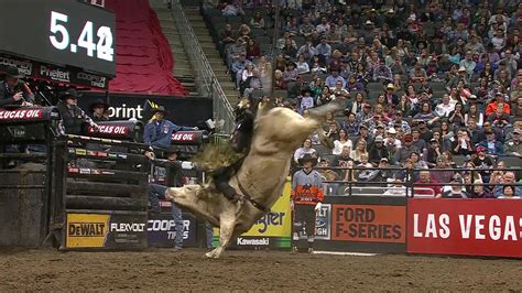 Pbr Bull Riding Wallpaper 69 Images