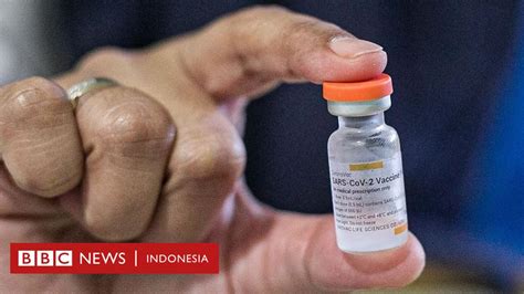 Vaksin Covid 19 Di Berbagai Negara Apa Saja Perbedaannya Bbc News