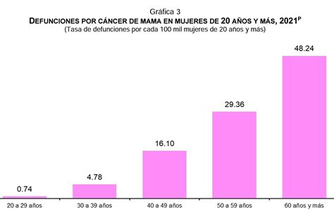 Estadísticas De Cáncer De Mama En México ¿cuántas Mujeres Murieron Por
