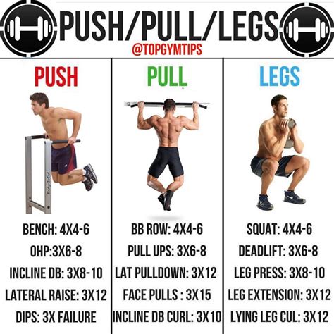 Push Pull Legs Workout Routine For Beginners For Build Muscle Fitness