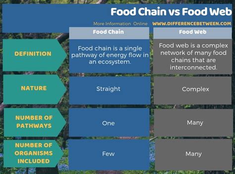 Difference Between Food Chain And Food Web Compare The Difference