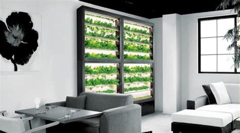 ディーグラット、超薄設計・壁面型の植物工場 Salad Wall サラダウォール の販売開始 植物工場・農業ビジネスオンライン