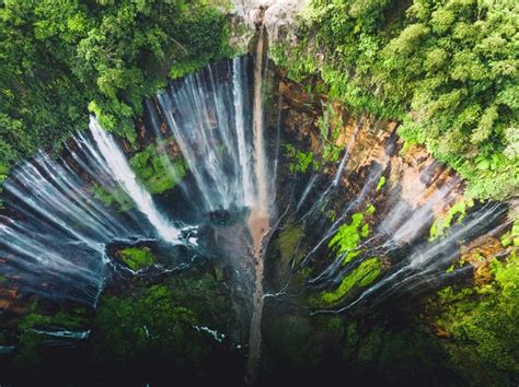Hyatt regency mumbai has achieved gbac star™ facility accreditation from issa worldwide for implementing the strictest cleaning, disinfection and infectious disease prevention. A thousand waterfalls in one: Tumpak Sewu, East Java | East java, Waterfall, Water