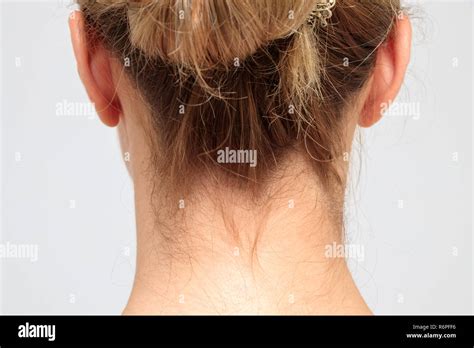 Nape Of A Young Womans Neck Stock Photo Alamy