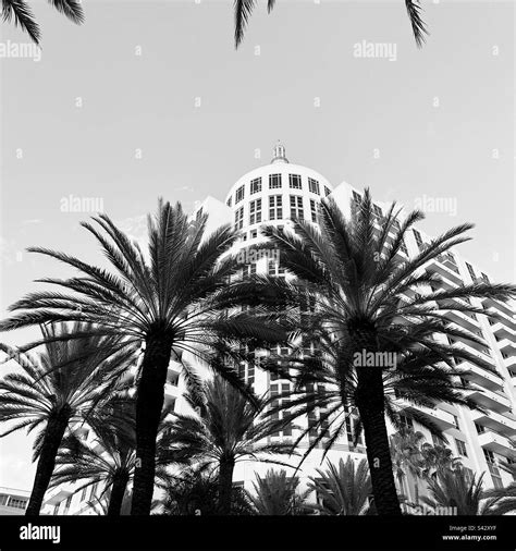 Enero de 2023, Loews Miami Beach Hotel, South Beach, Miami Beach