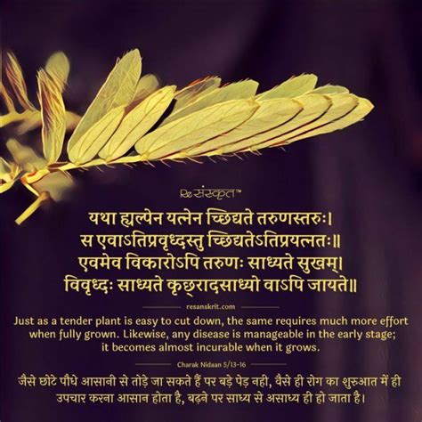 Sanskrit Shloks Sanskrit Quotes Thoughts Slokas With Meaning In