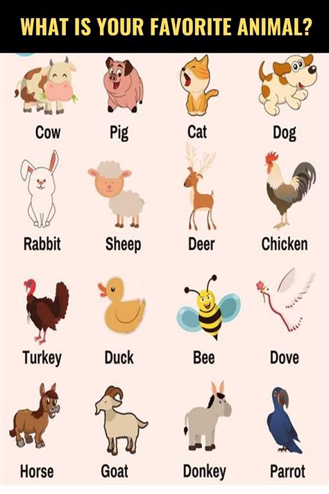 Animal Em Inglês Com A Letra U