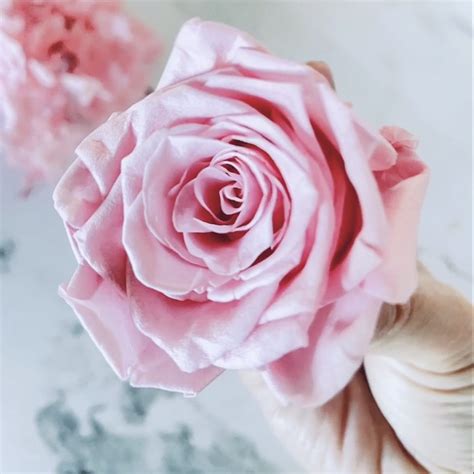 Rosie Nine Rose Box Blossomy