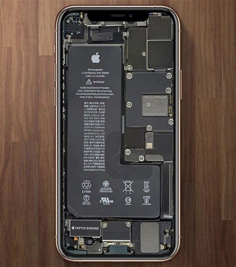 苹果内部结构图壁纸大全 Iphone 6s 11内部结构壁纸高清下载 芝麻科技讯
