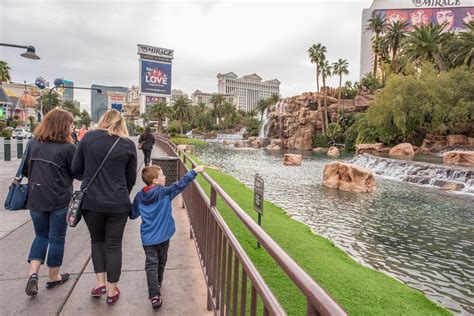 5 Activities In North Las Vegas For Families Loralee Wood