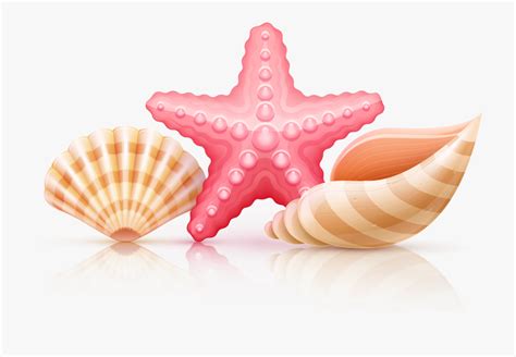 Starfish Clipart Seashell And Other Clipart Images On Cliparts Pub™