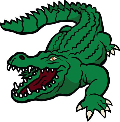 Alligator Png Alligator Cartoon Pictures Free Download Free