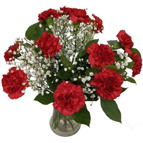 Red Carnations Uk Flower Delivery By Clare Florist