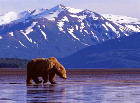 Tourism World Alaska State Of Usa