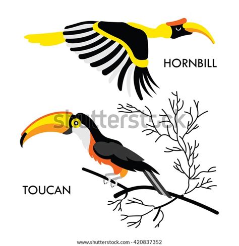 Cartoon African Wild Birds Vector African Birds Made In Flat Style