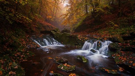 Waterfall In Fall Forest Hd Nature Wallpapers Hd Wallpapers Id 47865