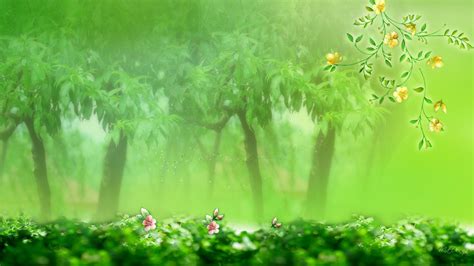Green Spring Trees Hd Desktop Wallpaper Widescreen High Definition