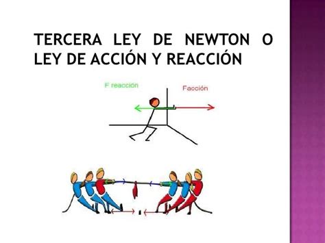 La Fisica Tercera Ley De Newton