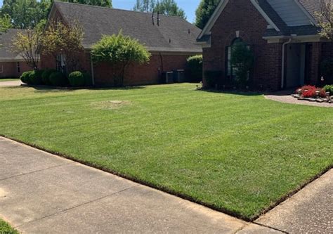 The 1 Lawn Care Service In Dallas Tx 2022 Lawn Mowing From 19