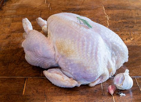 Buy Free Range White Turkey Wild Meat Company