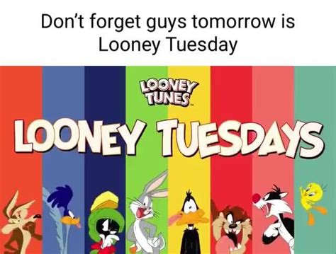 Dont Forget Guys Tomorrow Is Looney Tuesday Thee Looney Tuesdays