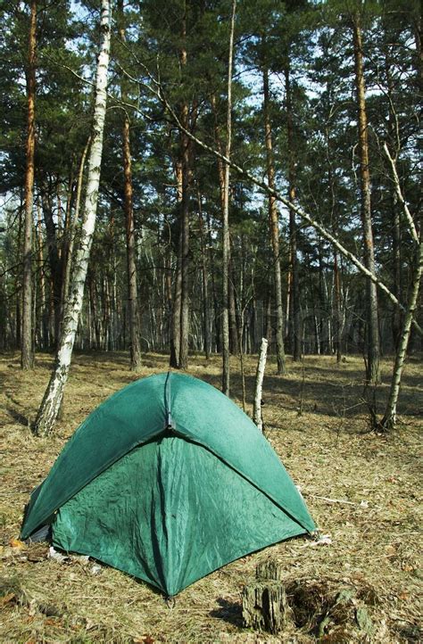 Tent In Forest Stock Image Colourbox