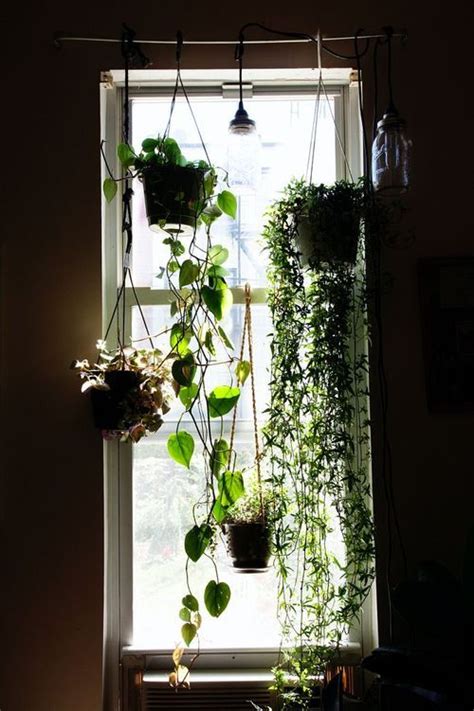 Sensational Hanging Plants In Front Of Windows Small Trailing Artificial