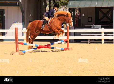 Horse And Rider Negotiate A Jump During Parade Of Breeds Kentucky Horse