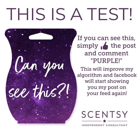 Pin By 4myfun On Scentsy Ads Scentsy Consultant Ideas Scentsy