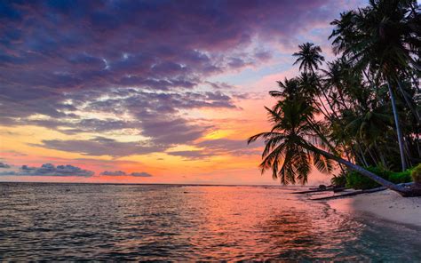 Indonesia Banyak Islands Sumatra Tropical Desert Beach Sunset Sky Sea Palm Trees Photo Landscape