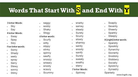 Words That Start With S And End With Y Complete List Engdic