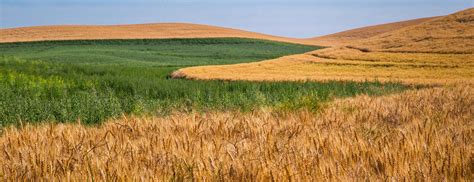 Agricultural Patterns Stock Image Image Of Hills Panorama 42754163