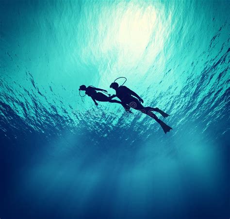 Dives Swim Under Wate Stock Illustration Illustration Of Person 97328733