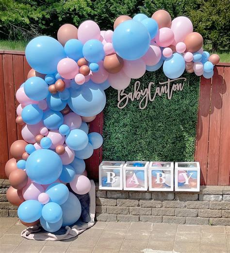Pastel Gender Reveal Balloon Garland Kit Premium Diy Rose Etsy Canada