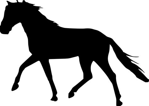 5 Horse Silhouette Png Transparent