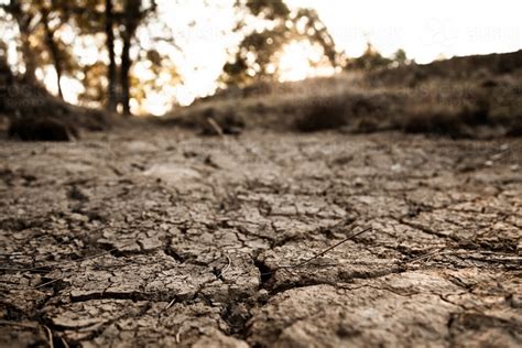 Image Of Dry Cracked Earth And Mud In Dried Up Farm Dam Austockphoto