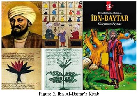 Figure 2 From Ibn Al Baitar The Pioneer Of Botanist And Pharmacist