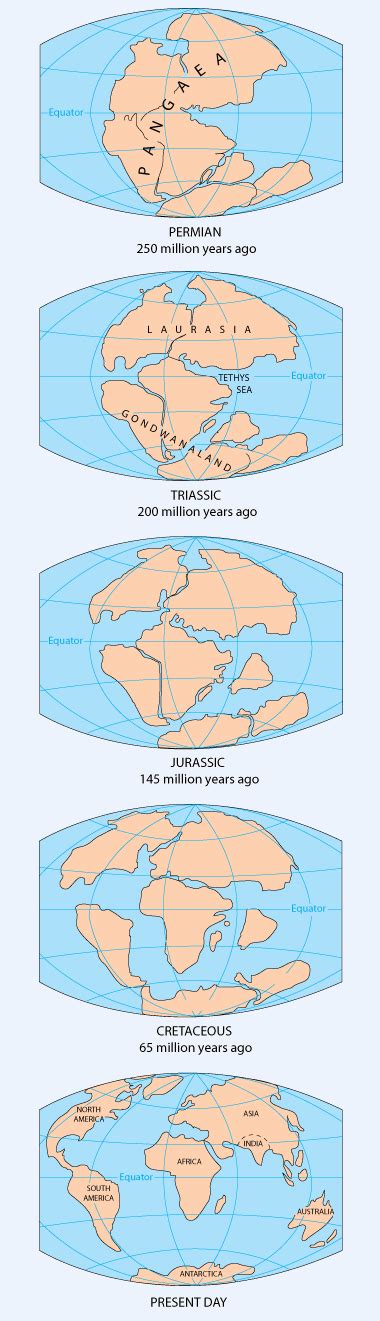 Pangea Continent Map Continental Drift Supercontinent