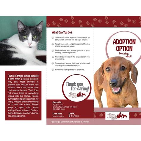 Adopting a shelter animal can be a very rewarding experience. 29 best TriFold/ Animal Brochures images on Pinterest ...