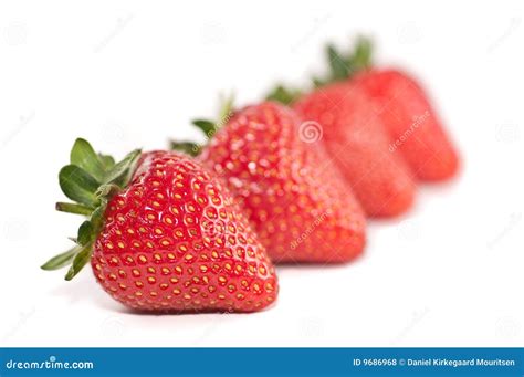 Row Of Strawberries Stock Photo Image Of Horizontal Delicious 9686968