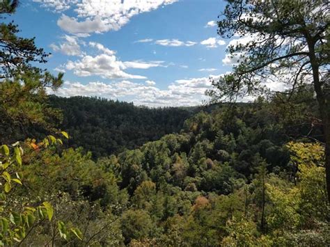 Red River Gorge Scenic Byway In The Daniel Boone National Forest