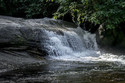 Tobogã Do Tarzan Waterfall Free Walker Tours